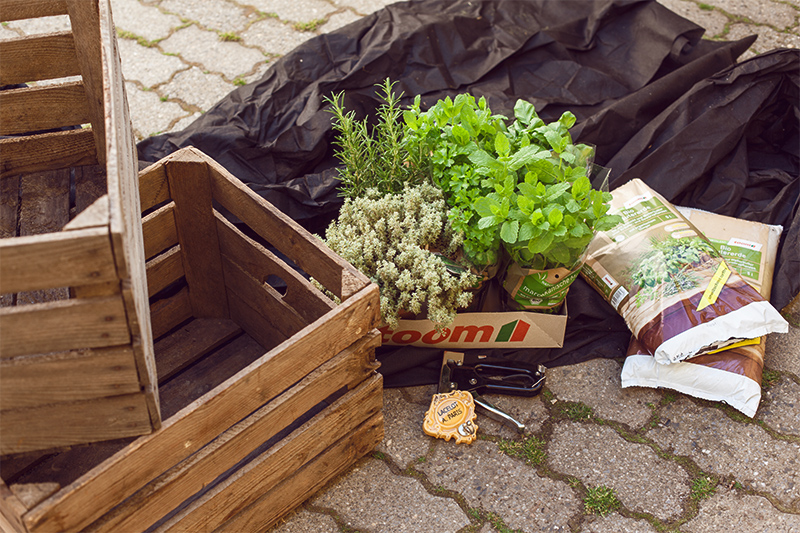 krautergarten-balkon-weinkisten-diy-always-like-a-feather-01