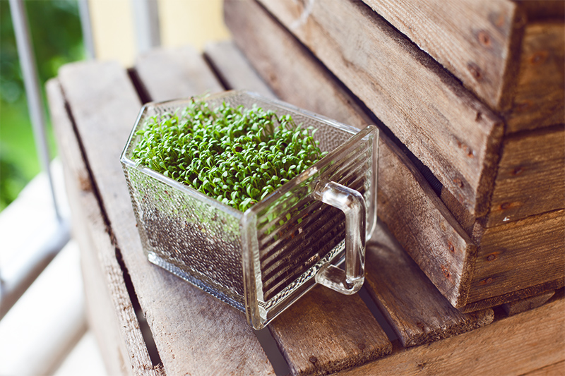 krautergarten-balkon-weinkisten-diy-always-like-a-feather-10