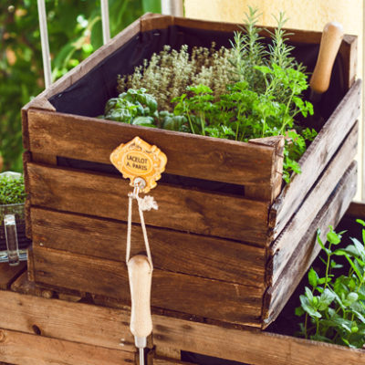 DIY: Kräutergarten aus Weinkisten für den Balkon